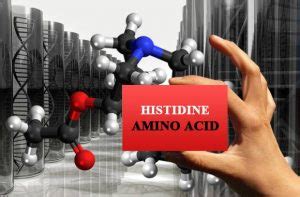 Histidine Amino Acid Benefits