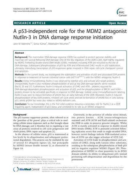 PDF A P53 Independent Role For The MDM2 Antagonist Nutlin 3 In DNA