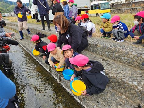 「大きくなって帰ってきてね！」～鮭の稚魚放流～