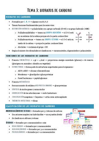 TEMA 3 BIOQUIMICA Hidratos De Carbono Pdf