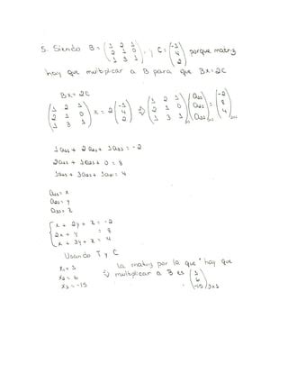 Actividad Algebra Lineal PDF