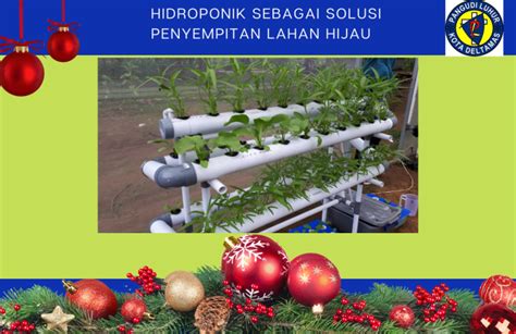 Hidroponik Sebagai Solusi Penyempitan Lahan Hijau