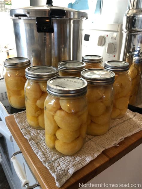 Pressure Canning Potatoes the Raw Pack Method - Northern Homestead