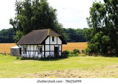 Beauty Nature Rugen Island Germany Stock Photo 786256999 | Shutterstock