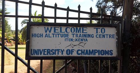 Maui Runner High Altitude Training Center The University Of Running