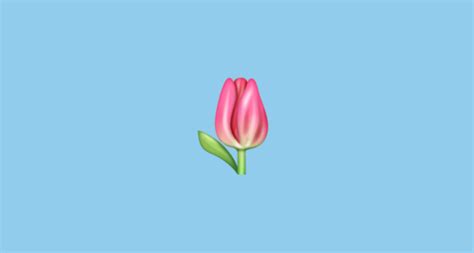 🌷 Tulipán Emoji On Whatsapp 2211620