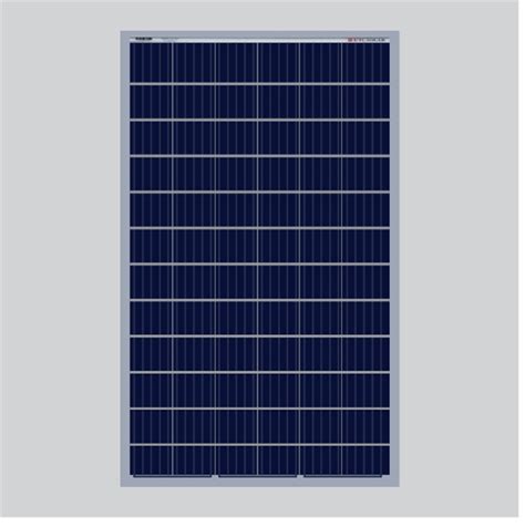 Polycrystalline Vikram Solar Panels Watt V At Rs Watt In Bhiwani