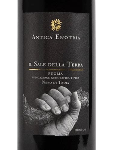 Antica Enotria Ll Sale Della Terra Vivino US