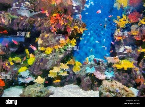 Ocean Aquarium in Shanghai, China Stock Photo - Alamy