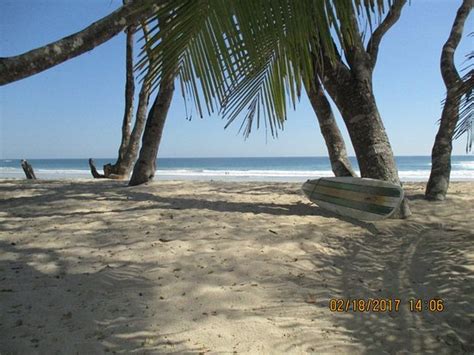 Barrigona Beach Playa Samara Costa Rica Top Tips Before You Go