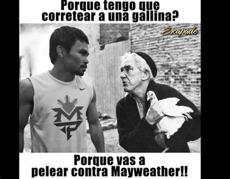 Los Mejores Memes De La Pelea Del Siglo Mayweather Vs Pacquiao Shock