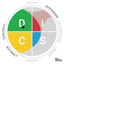 Profile Disc Personality Types