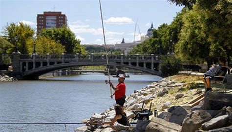 Pesca En Madrid 】mejores Lugares Para Ir A Pescar Espesca