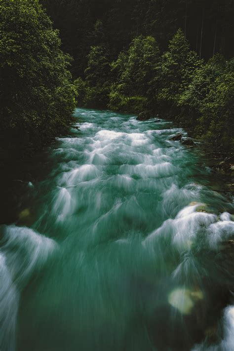 Forest River Flow Forest Rocks Autumn River Trees Falls Hd