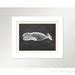 Vintage Sperm Whale Print X P Etsy