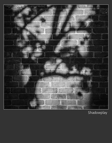 Shadowplay 5 By Rob1962 On Deviantart