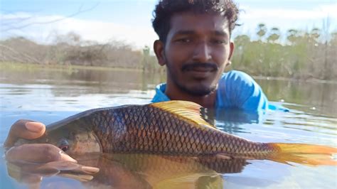 Fishing In River Rohu Kendai Meen Catching In River First Time I