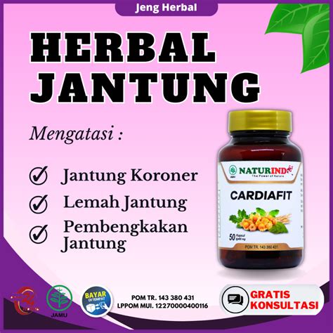 Jual Obat Jantung Bengkak Herbal Jantung Koroner Berdebar Sakit Jantung