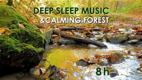 8 Hours Deep Sleep Music Autumn Forest With Relaxing Sounds And