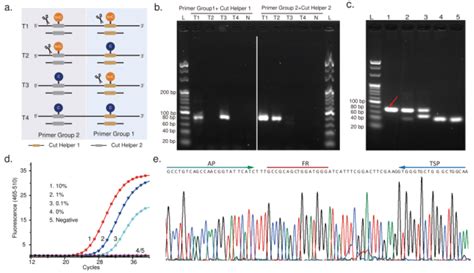 Nat Commun 序列末端依赖性pcr方法——stem Pcr，以单碱基分辨率识别位点特异性突变测序中国 商业新知