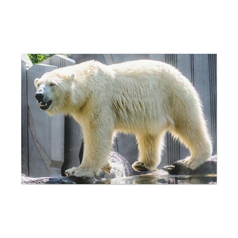 Polar Bear Canvas Print Nursery Art Polar Bear Nursery Polar Bear Art