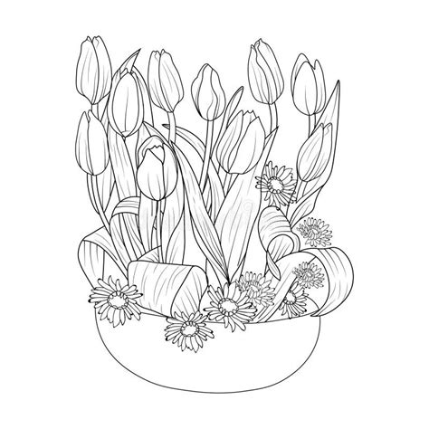 Tulip Flower Pencil Drawing Stock Illustrations – 824 Tulip Flower ...