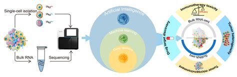 The applications of AI-assisted transcriptomics in cancer research ...