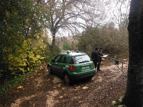 Bilancio Operativo Dei Carabinieri Forestali In Puglia Piu