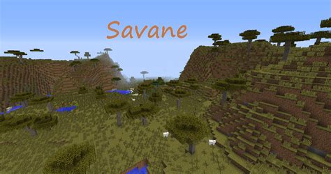 Savanna seed minecraft