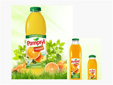 Types Of Orange Juice Brands