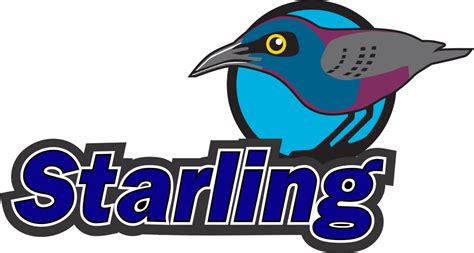 Starling PNG Images Transparent Free Download