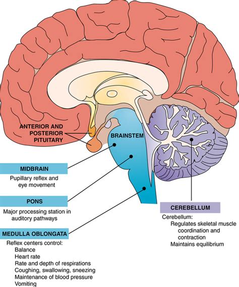 Biological Basis For Understanding Psychiatric Disorders And Treatments