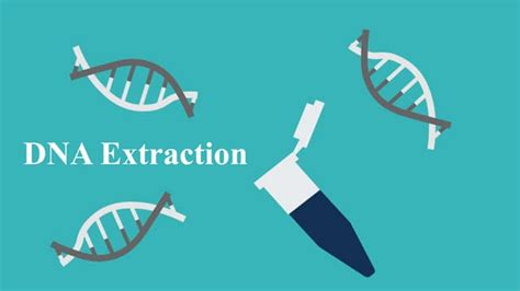 Dna Extractionpptx