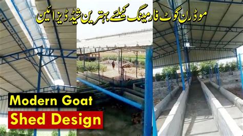 Modern Goat Shed Design L Goat Farming In Pakistan YouTube