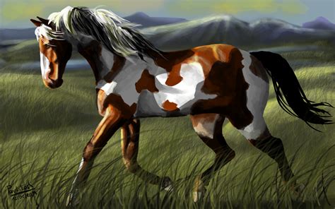 American Paint Horse by tpavlikova on Newgrounds