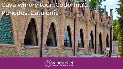 Tour And Tasting At Codorníu Winery The Birthplace Of Spanish Cava