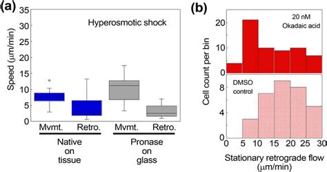 Perturbation Of Cytoskeleton Dynamics And The Effect On Retrograde