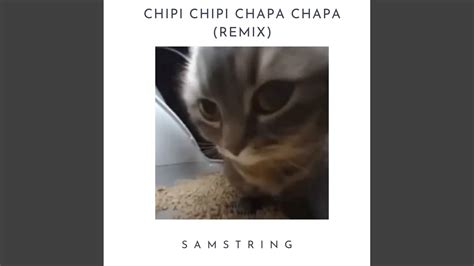 Chipi Chipi Chapa Chapa SAMString Remix YouTube Music