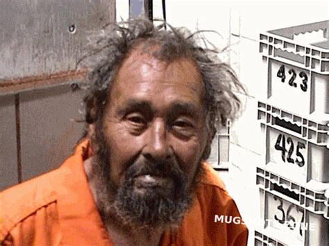 Canales Benito Hernandez Lucas County Mugshots Zone