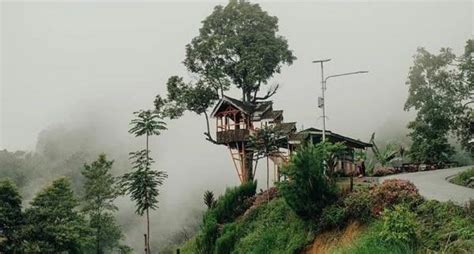 Kampung Unik Di Jambi Singgah Ke Desa Terpencil Mirip Negeri Kayangan