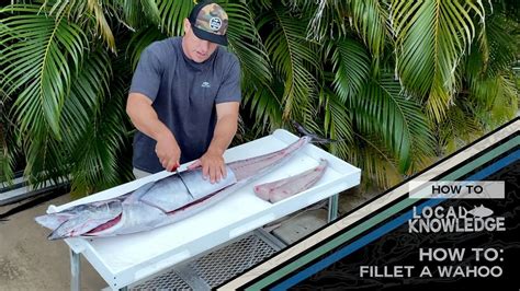 LOCAL KNOWLEDGE HOW TO FILET A WAHOO WITH CAPTAIN RUSH MALTZ BDOutdoors