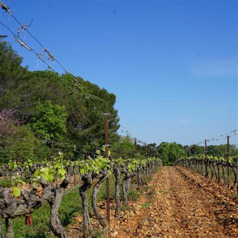 Mejor Que Una Ruta Una Eno Ruta Montpellier Turismo