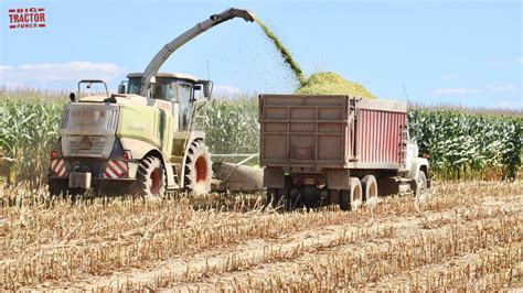 Corn Silage Harvest Claas Jaguar 960 Youtube