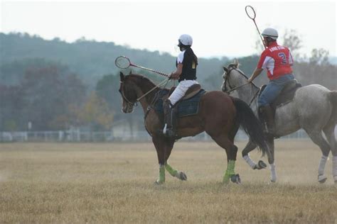 Polocrosse Riding, Horses, Sports, Animals, Hs Sports, Animales, Animaux, Animal, Animais