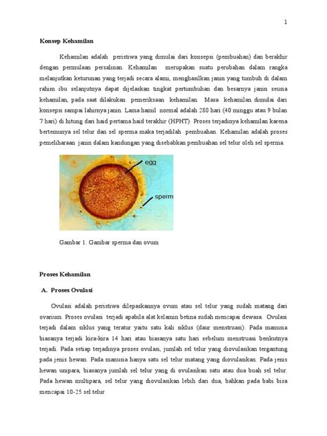 Proses Fertilisasi Dan Kehamilan Pada Manusia | PDF