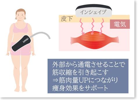 「ensの効果」について 1、emsとは Emsはelectrical Muscle Stimulation （エレクトリカル・マッスル