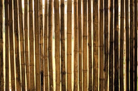 Premium Photo Full Frame Shot Of Bamboo Fence