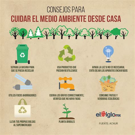 10 Reglas Para Cuidar El Medio Ambiente