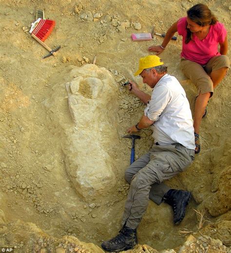 Scientists Discover Angolan Giant Dinosaur Which Was One Of Largest