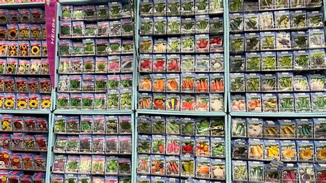 Seed Starting Supplies At Lowes Youtube